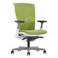 Ghế công thái học Raina-Mesh RPB004