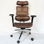 Ghế công thái học Rainbow màu nâu ZGSP-137SJN Ghế công thái học Rainbow màu nâu ZGSP-137SJN