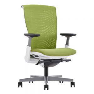 Ghế công thái học Raina-Mesh RPB004