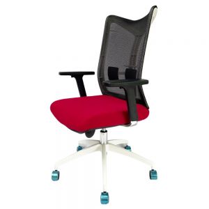 Ghế văn phòng cao cấp Porty lưng lưới, tay nâng hạ ZRPB051