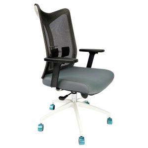 Ghế văn phòng cao cấp Porty lưng lưới, tay nâng hạ ZRPB052
