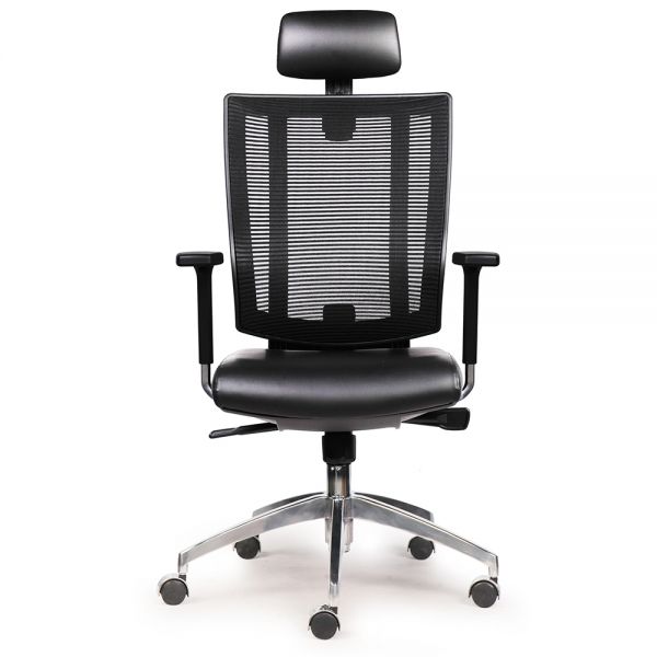 Ghế công thái học Premier-01 RPB008
