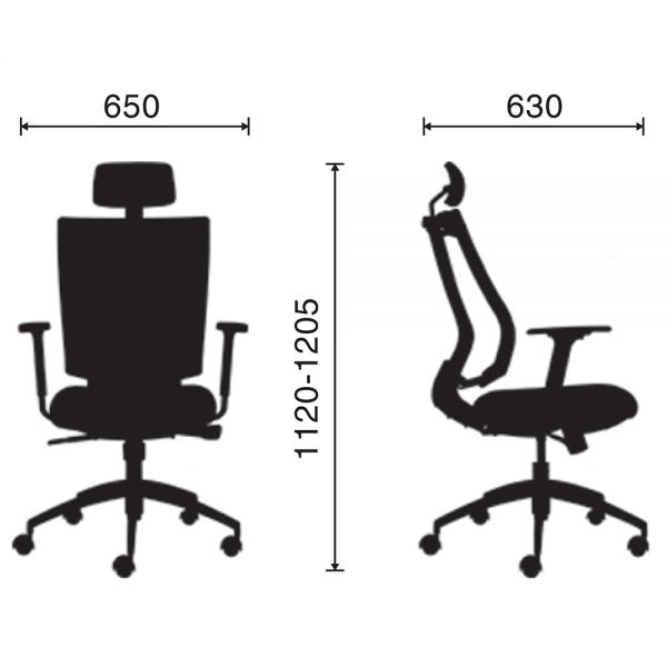 Ghế công thái học Premier-01 RPB008