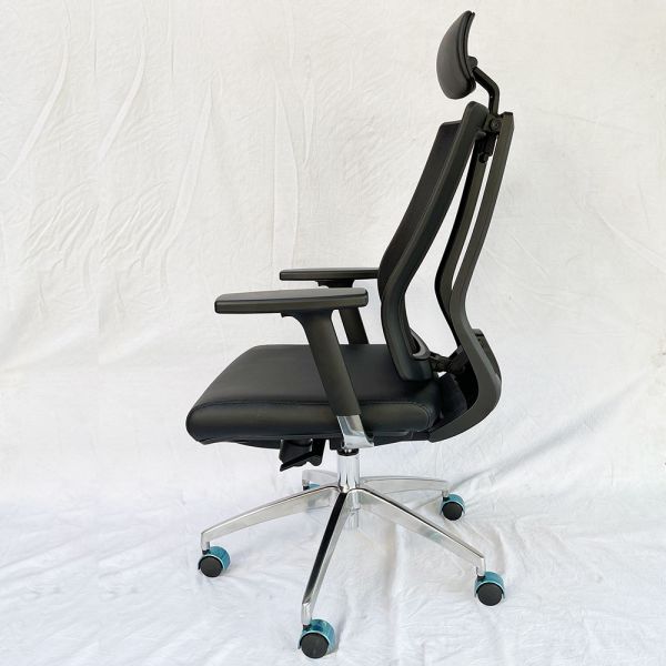 Ghế công thái học Premier-01 RPB008