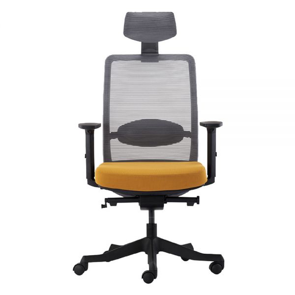 Ghế công thái học Anto-01 RPB011