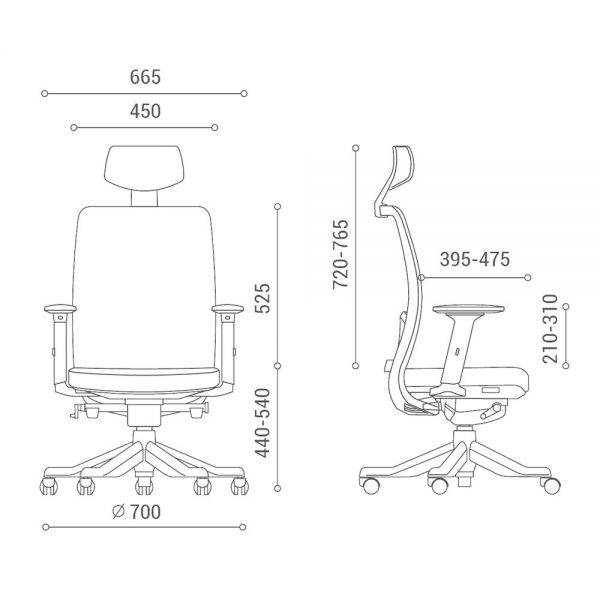 Ghế công thái học Anto-01 RPB011