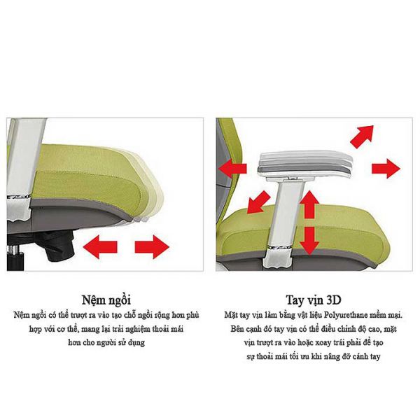 Ghế công thái  học Hàn Quốc ZWG101