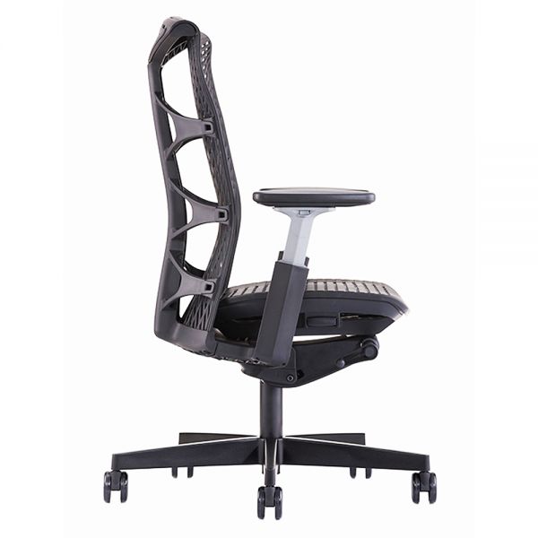 Ghế công thái học Raina-TPE RPB003