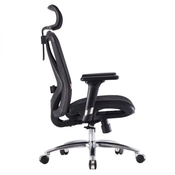 Ghế công thái học Sihoo ZM57D