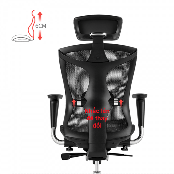 Ghế công thái học cao cấp ZERC-01