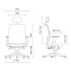 Ghế công thái học Anto-01 RPB011